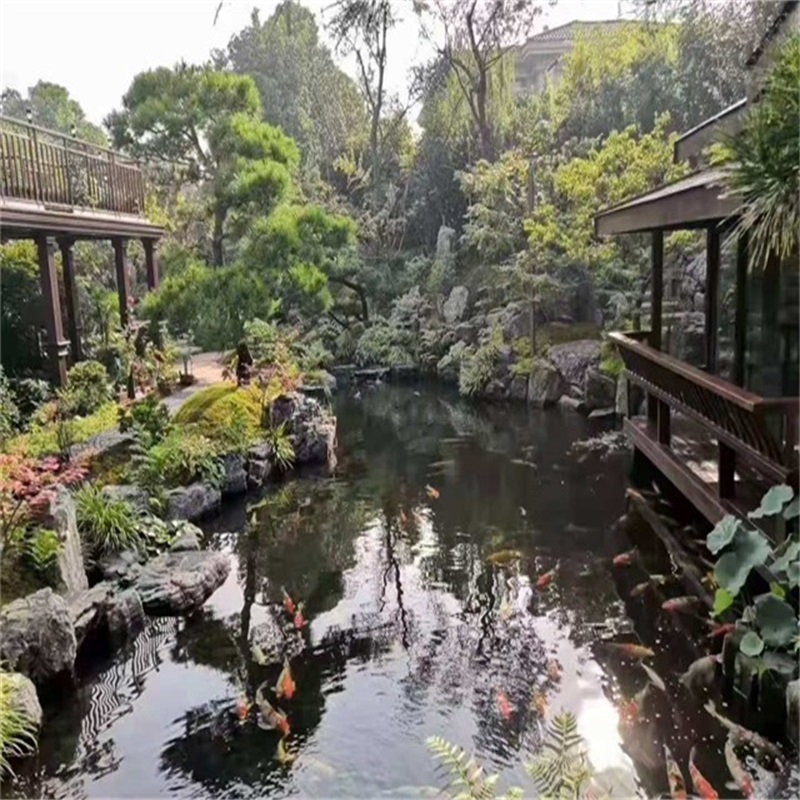 渭城小庭院假山鱼池